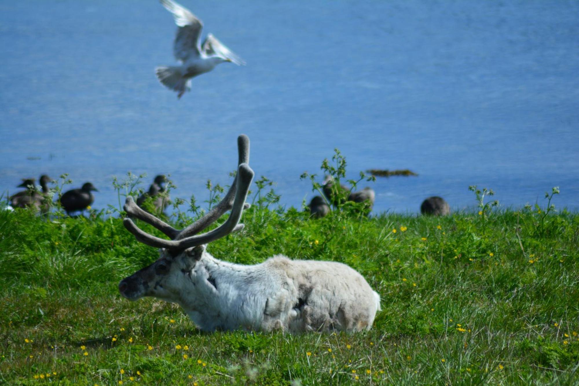 Arctic Hotel Nordkapp Honningsvåg Zewnętrze zdjęcie